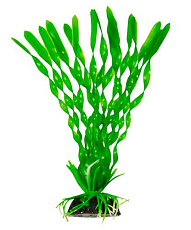 Barbus Пластиковое растение Валиснерия спиральная зеленая