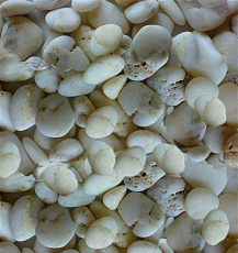 Barbus Галька белая 20-40 мм