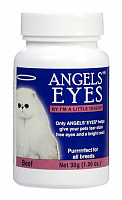 Angels` Eyes for Cat`s