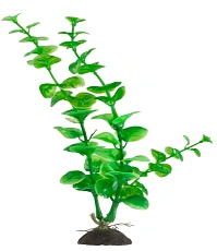 Naribo Растение пластиковое Щитолистник