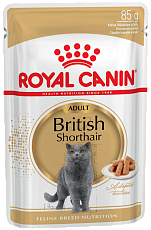 Royal Canin British Shorthair Adult (соус)