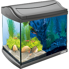 Tetra Аквариум "AquaArt LED Set Shrimp", 20 л