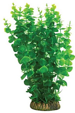 Laguna Растение с распылителем "Бакопа" зеленая (блистер)