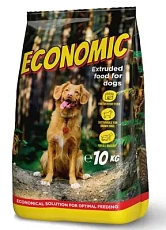Economic Dog Adult