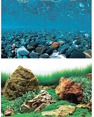 Barbus Фон аквариумный Горная река / Зеленое море