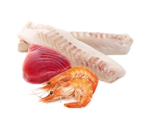Консервы Консервы Farmina Cat Ocean Tuna, Cod & Shrimp, 80 г для кошек и котят
