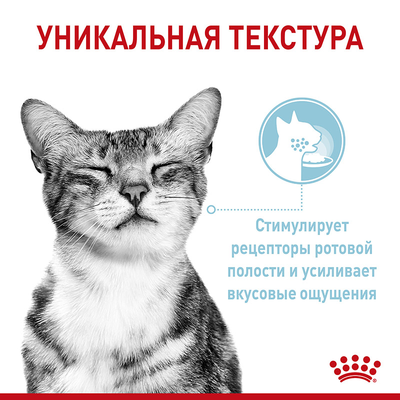 Консервы Консервы для кошек и котят
