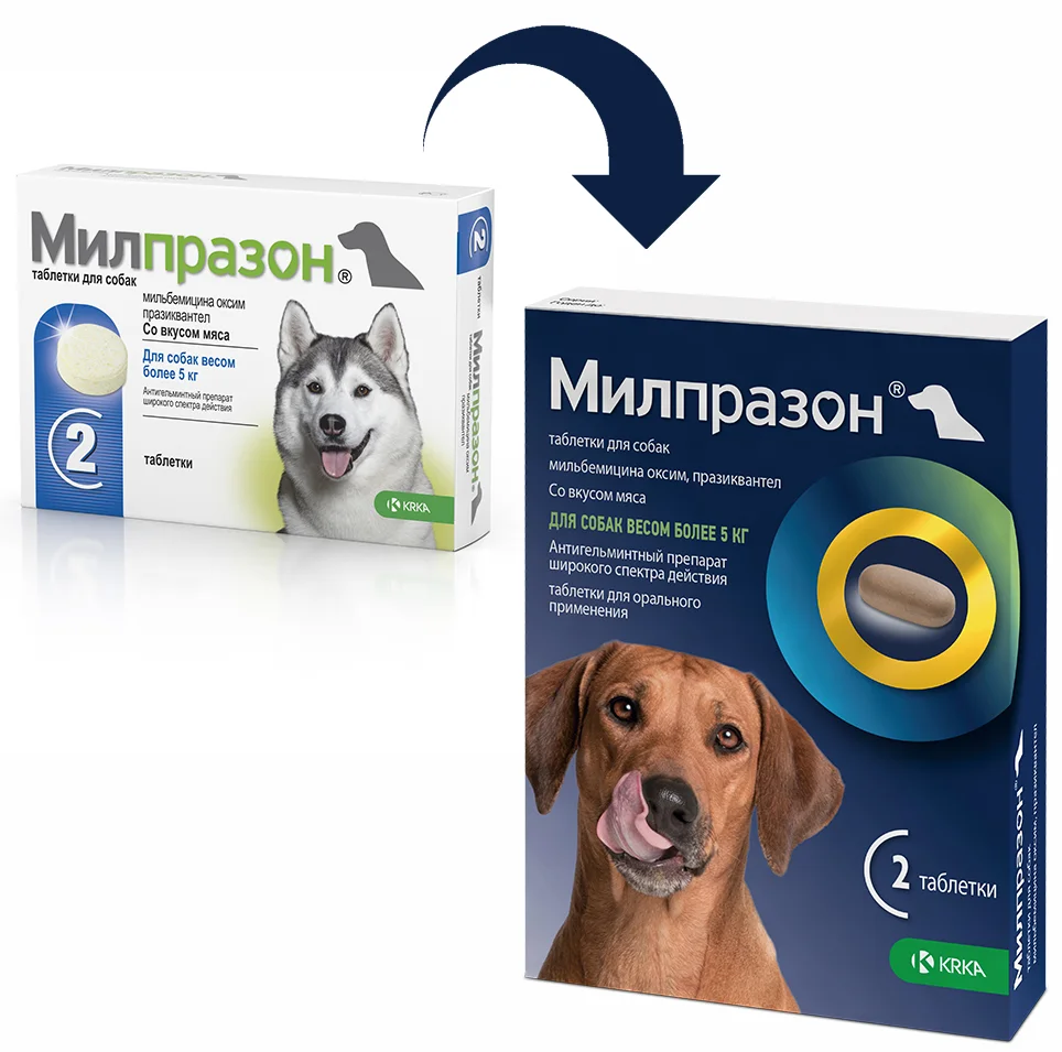 Антигельминтики KRKA Милпразон для собак более 5 кг купить в Минске |  Зоомагазин Garfield.by