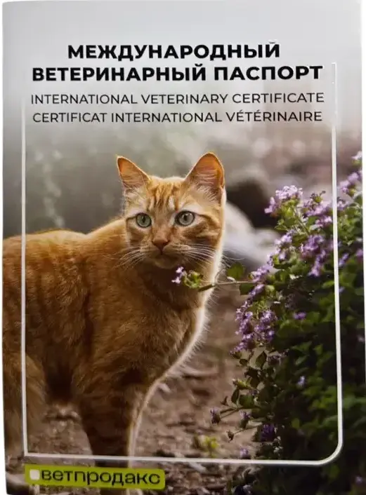 Ветпродакс Паспорт вакцинации для кошек