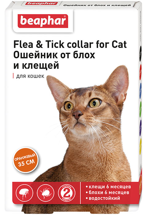Ошейник для кота от блох и клещей (оранжевый)