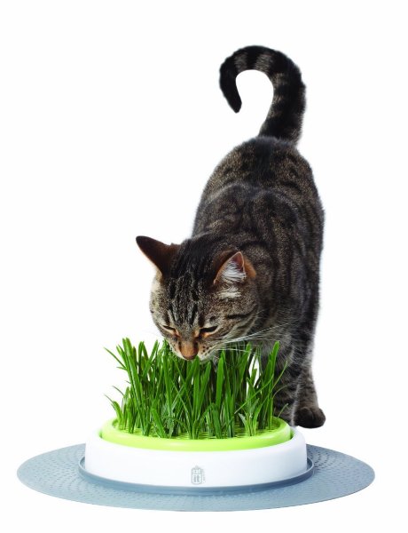 Сад с травой для кошек Catit – Garfield.by