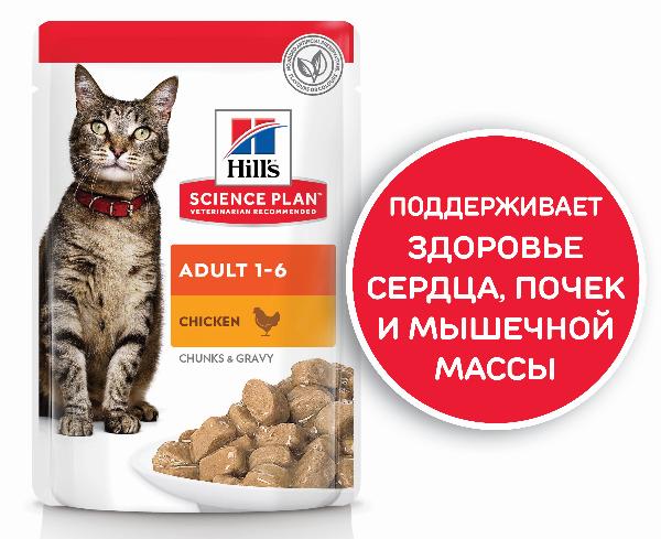 Консервы Hill's Science Plan Optimal Care влажный корм (курица) для кошек и котят