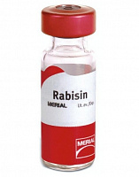 Рабизин