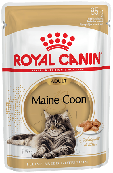 Консервы Royal Canin Maine Coon Adult (соус) для кошек и котят