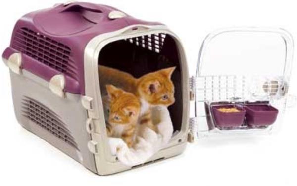 Catit Переноска для кошек и маленьких собак купить | Цены и Фото