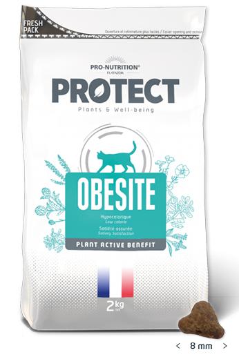 Сухой корм Flatazor Protect Obesite Cat для кошек и котят