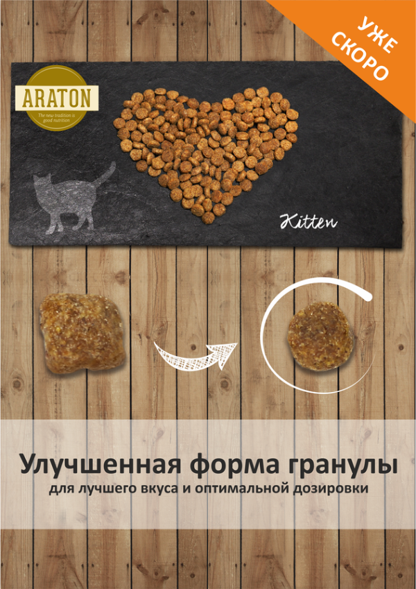 Araton Kitten – Garfield.by