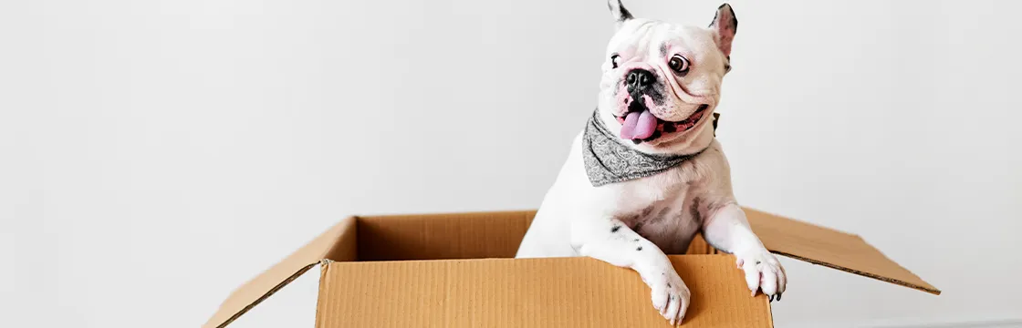 График работы магазина на ст. м. Малиновка 1 февраля 2026 г