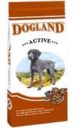 Dogland-Active