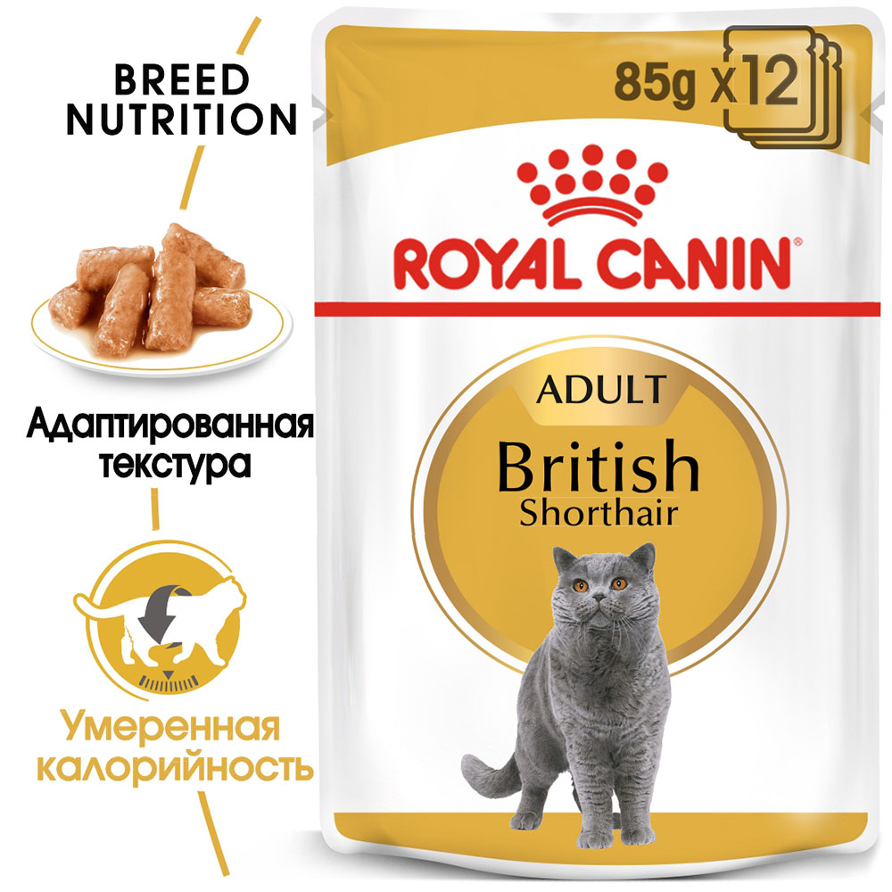 Консервы Royal Canin British Shorthair (соус) для кошек и котят
