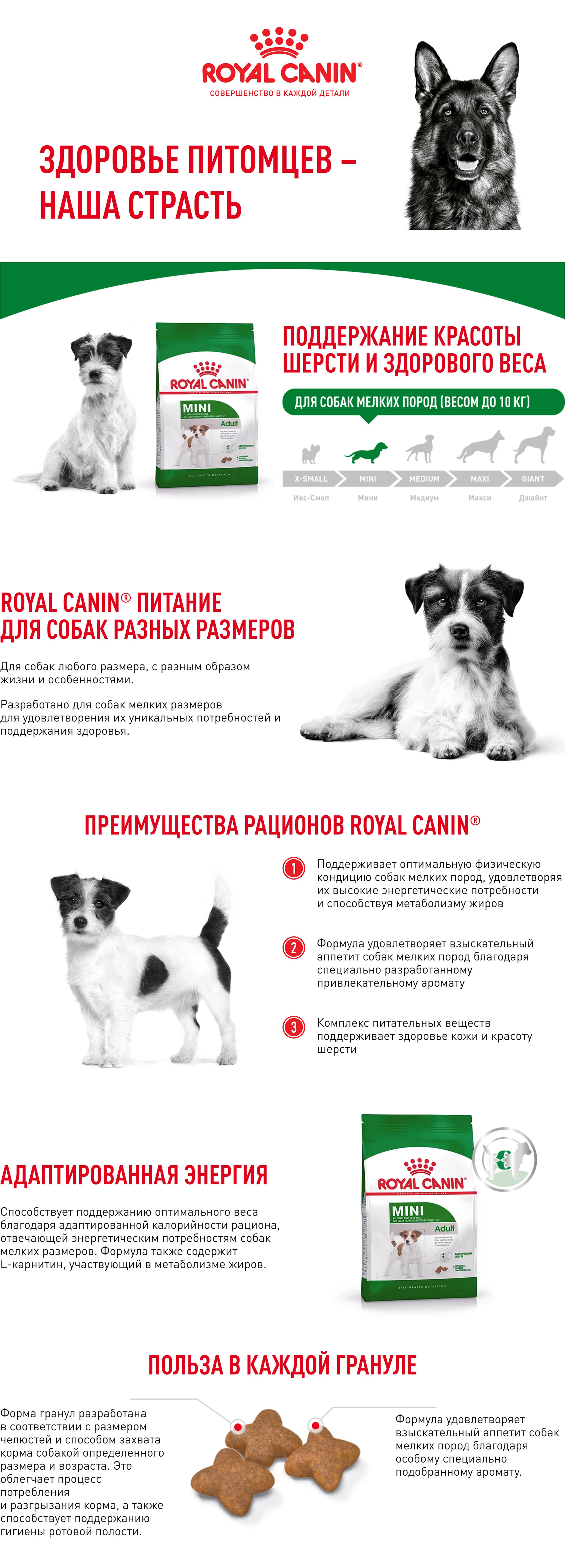 Купить корм для собак royal canin mini adult - Garfield.by