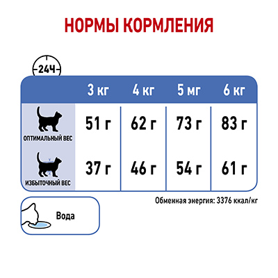 Лайт вейт кэа_7.jpg