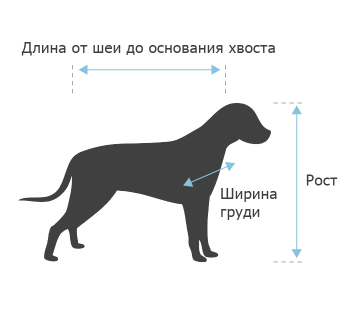 Рост собаки