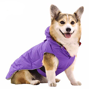 Куртки для собак