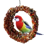 Smile King Лакомые качели для мелких птиц, попугаев