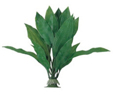 Boyu AD-004 Эхинодорус амазанский зелёный