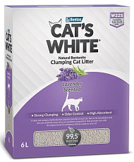 Cat's White Box Premium Lavender