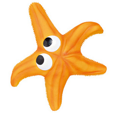 Trixie Игрушка из латекса "Морская звезда"