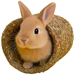 Smile King Домик-туннель для шиншилл и кроликов