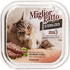 Miglior Gatto Steril Salmon and Rice