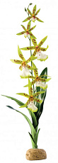 Hagen Орхидея, 29 x 9 x 5 cм