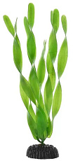 Barbus Пластиковое растение Валлиснерия широколистная
