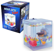 AA-Aquariums Аквариум 1212 Aqua Box Betta, 1,3 л