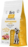 Brit Care Dog Puppy&Junior M Healthy Growth (Индейка, утка)