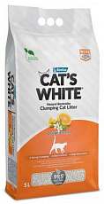 Cat's White Orange