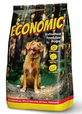 Economic Dog Adult