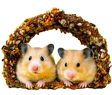 Smile King Домик хомяка