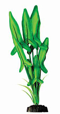 Barbus Шелковое растение Анубиас Хастифолия зеленая (блистер)