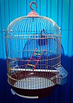 DaYang Клетка для птиц 370G золотая