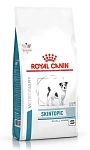 Royal Canin Skintopic Small Dogs