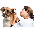 Препараты для лечения ЛОР-заболеваний котов и собак купить | Цены и Фото