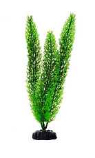 Barbus Пластиковое растение Роголистник зеленый