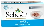 Schesir Tuna Box (Тунец в желе)