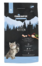 Chicopee HNL Kitten
