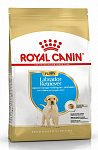 Royal Canin Labrador Retriever Puppy