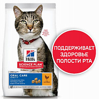 Сухой корм для кошек и котят